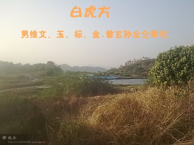 白虎.jpg