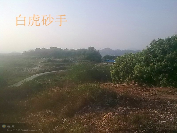 白虎砂手.jpg