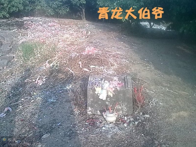青龙大伯爷.jpg