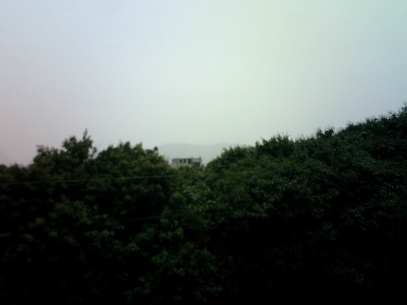 前面案.JPG