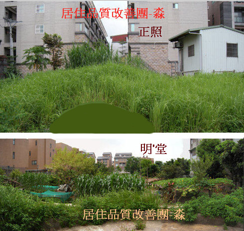 奇奇奇.jpg
