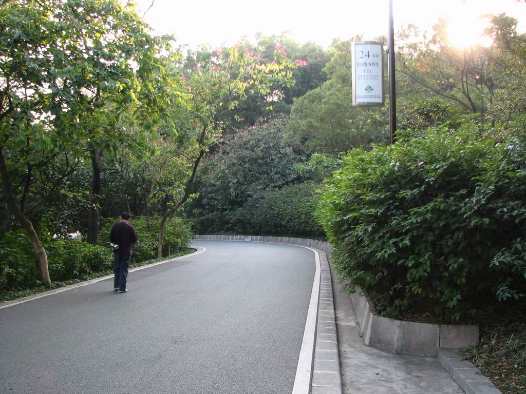 陶铸墓前路之虎边.JPG