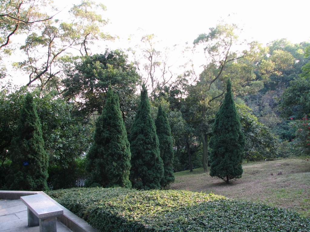 陶铸墓虎边前.JPG