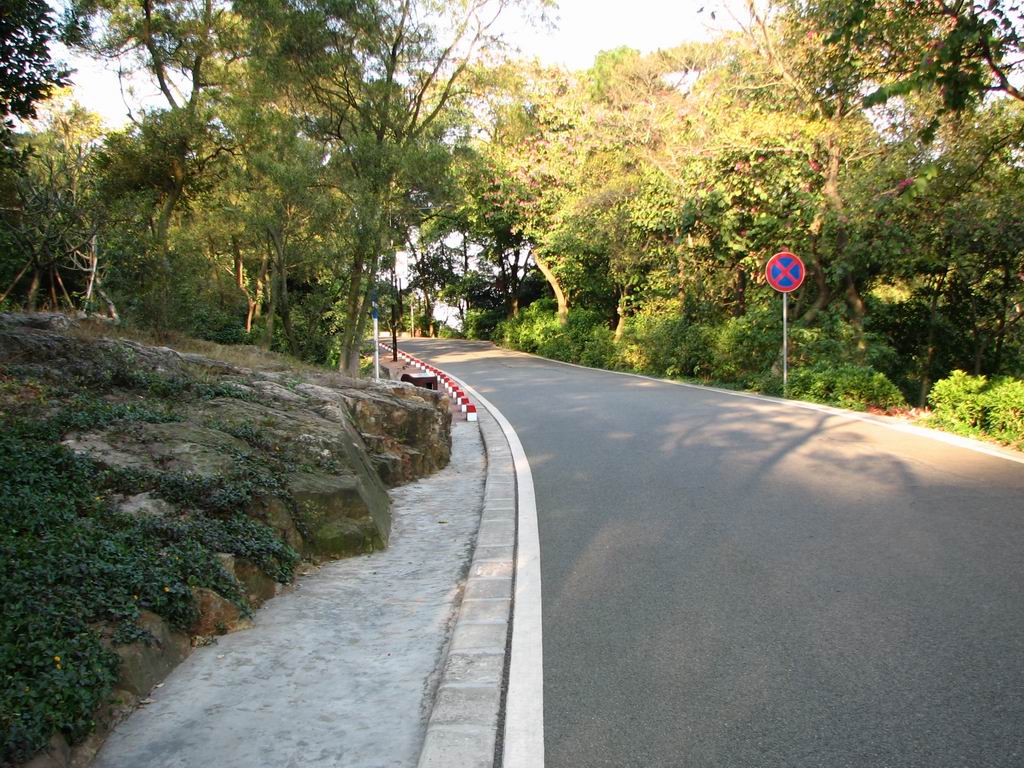 陶铸墓前路之龙边.JPG