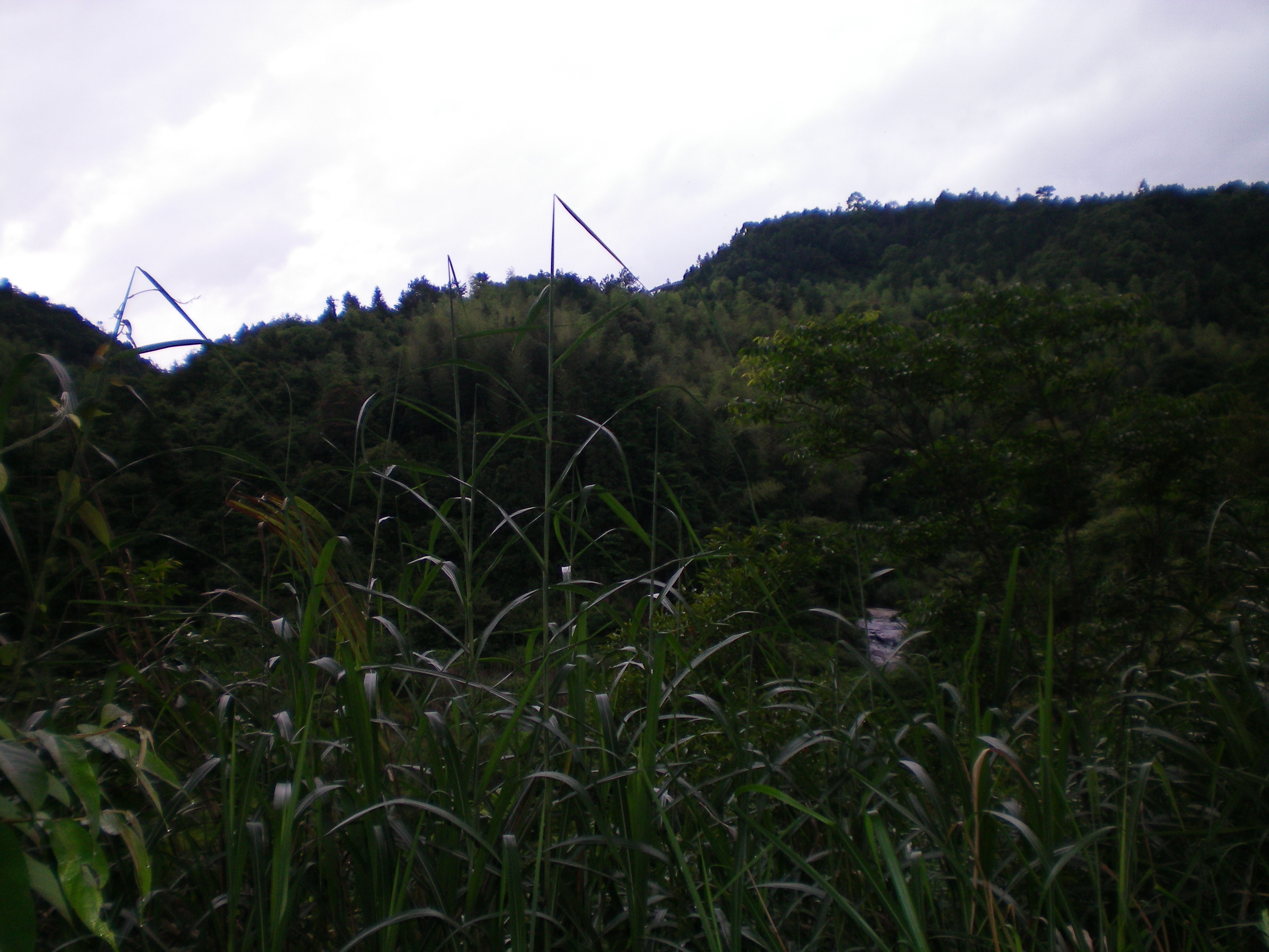 照片 025.jpg