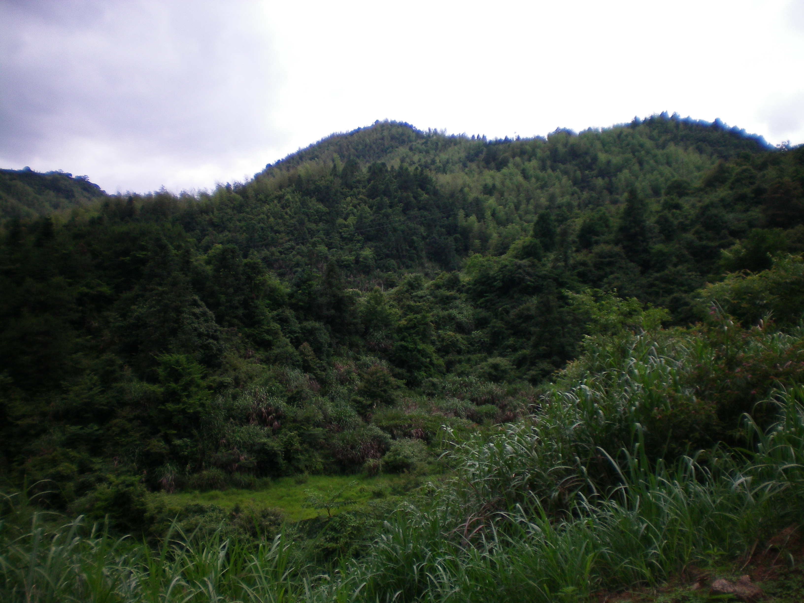 照片 027.jpg