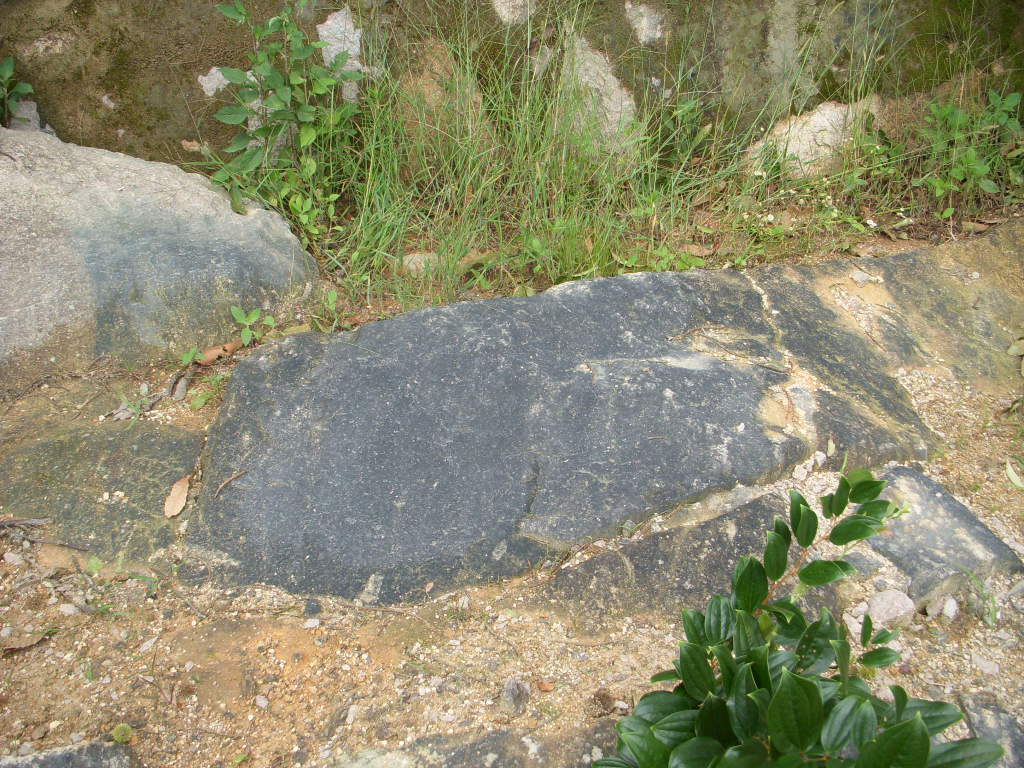 照片 059.jpg