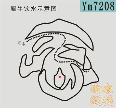 犀牛饮水.jpg