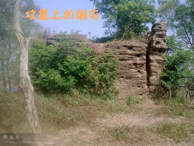 墓.jpg