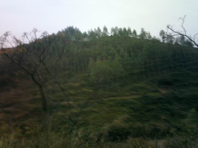墓后.JPG