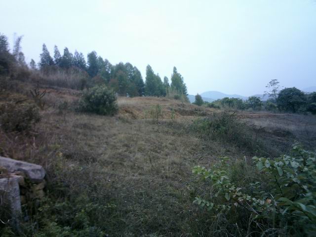 墓后左边.JPG