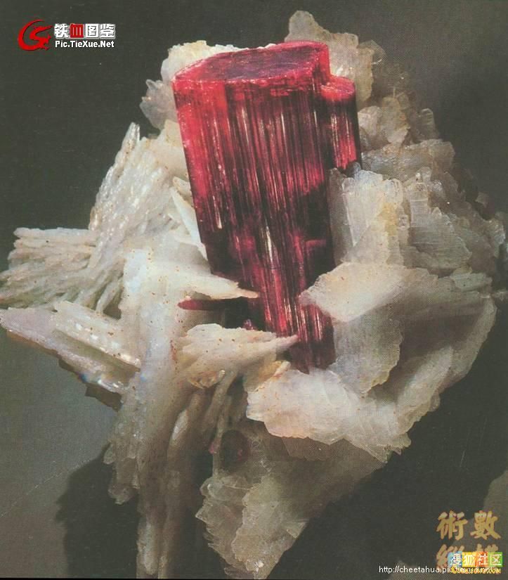 紅碧璽晶體.jpg