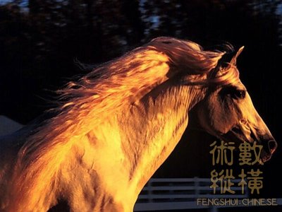 010aj.jpg