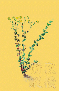 20020725011.jpg