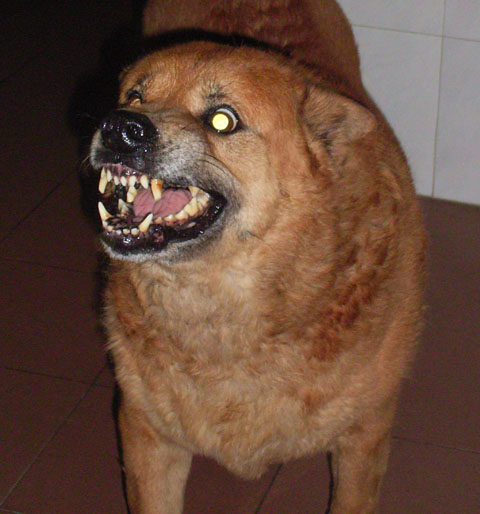 2005.4.096.jpg