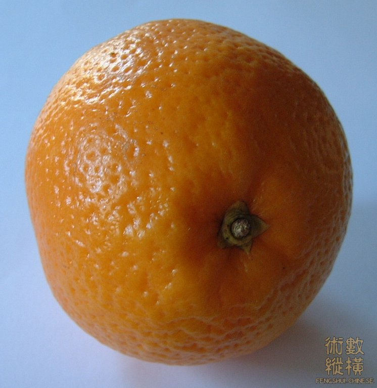 200508280248133571.jpg