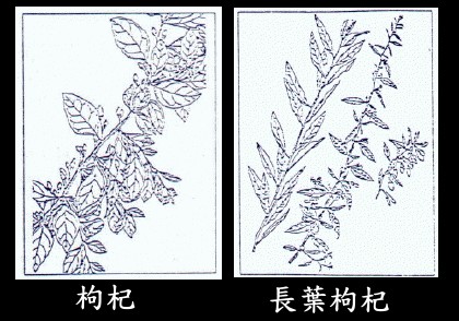 2702.jpg 2702.jpg