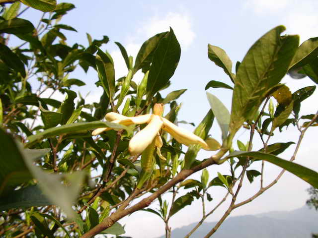 4_1168354100_jpg_703.jpg