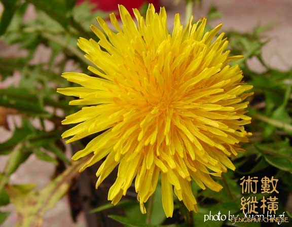 SANY0147拷貝.jpg