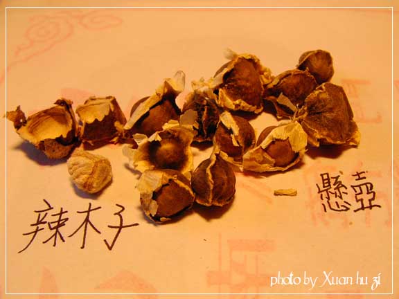 SANY0177拷貝.jpg