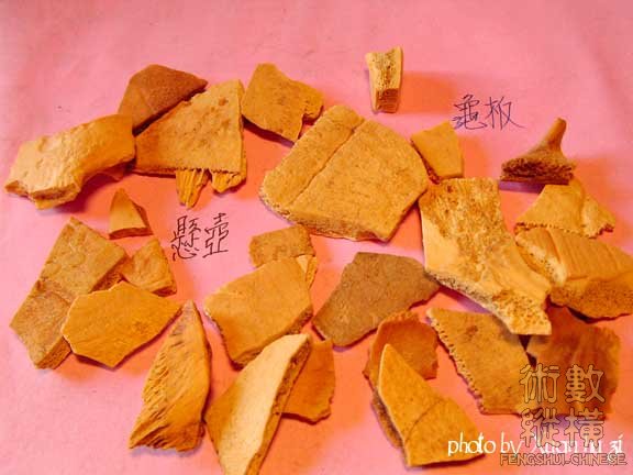 SANY0207拷貝.jpg
