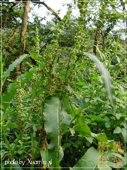 SANY0297拷貝.jpg
