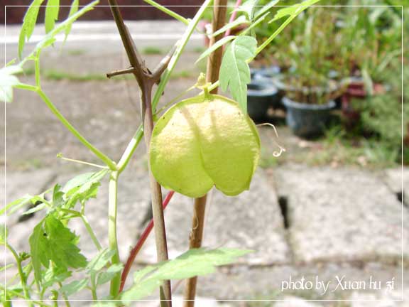 sany0012拷貝.jpg