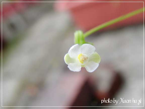 sany0018拷貝.jpg