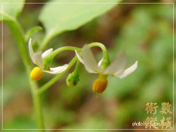 sany0173拷貝.jpg