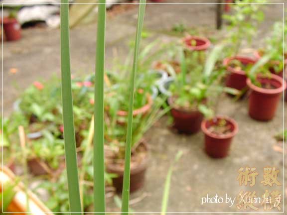 sany0296拷貝.jpg