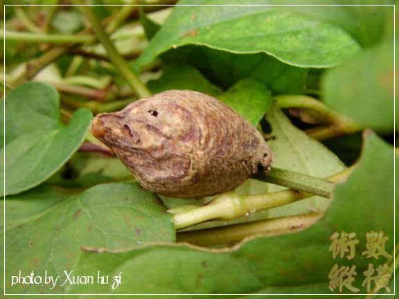 sany0304拷貝.jpg