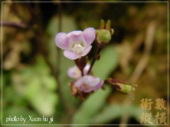 sany0318拷貝.jpg