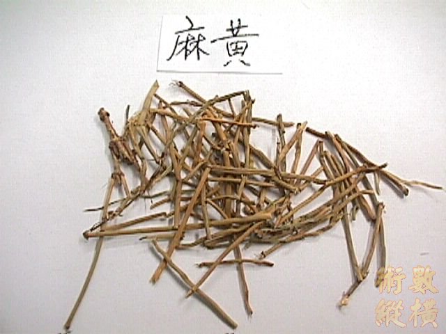 h1001p0.jpg