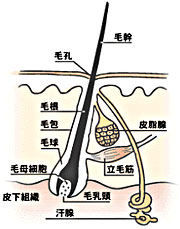 h123.jpg