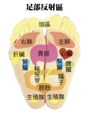 反射區.jpg