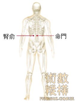 穴道3151.jpg
