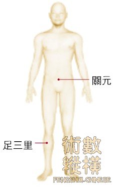 穴道3152.jpg