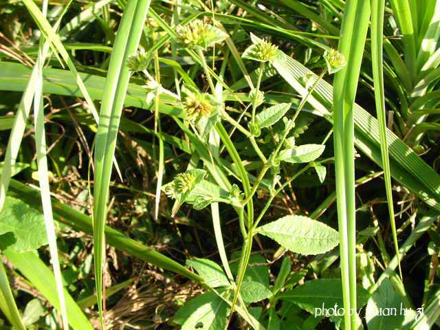 sany0296_298.jpg