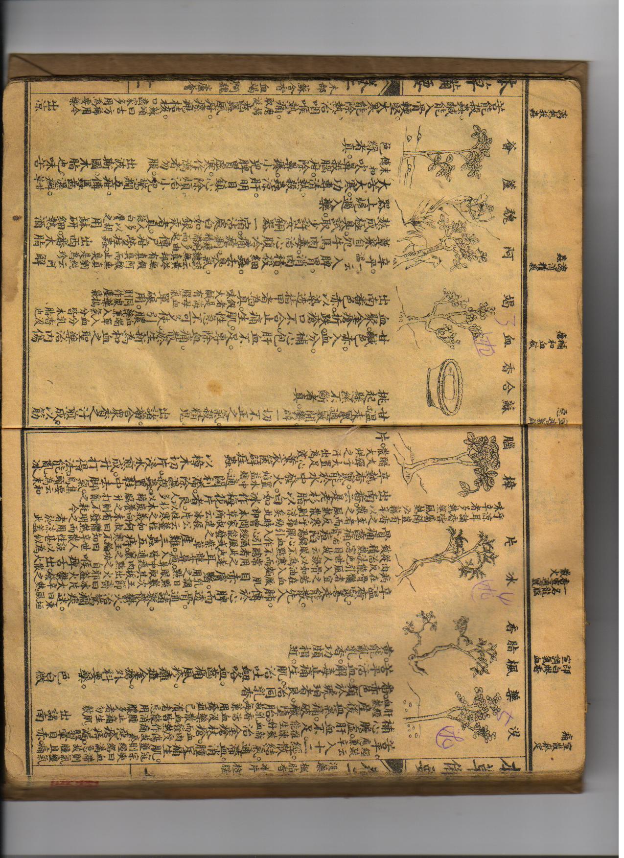 照片 001.jpg
