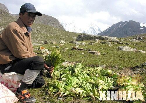 xinsrc_4620802041311531108142.jpg