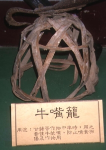 05.jpg