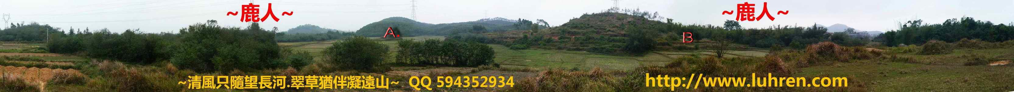 100125_sKx19cpTATV0.jpg