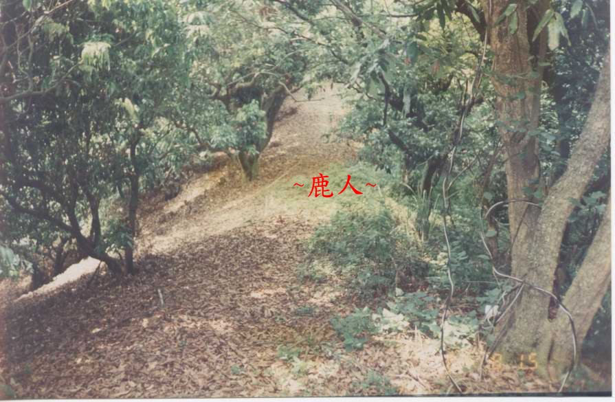 119_3.jpg