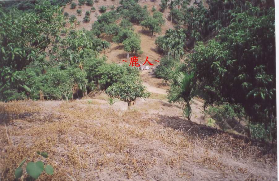 119.jpg