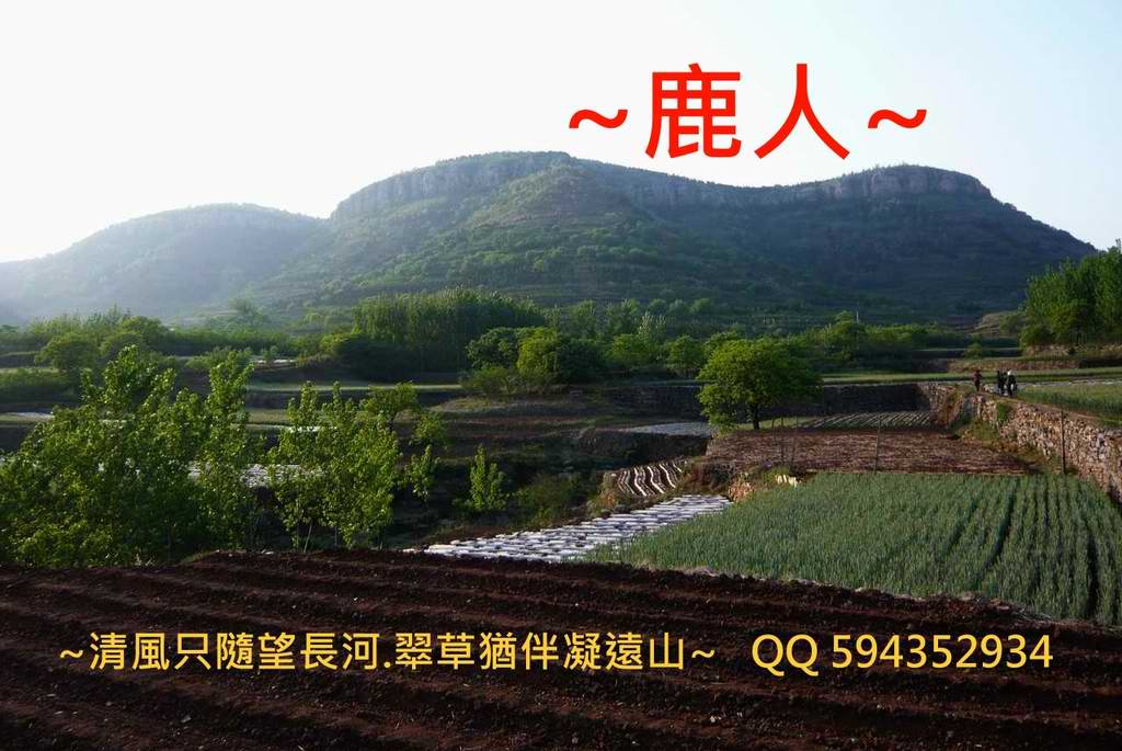 崮中下脈_1.JPG