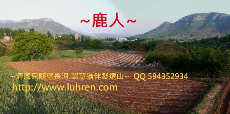 崮中下脈_7.JPG