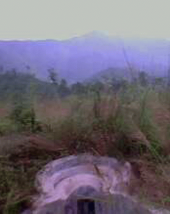后靠山