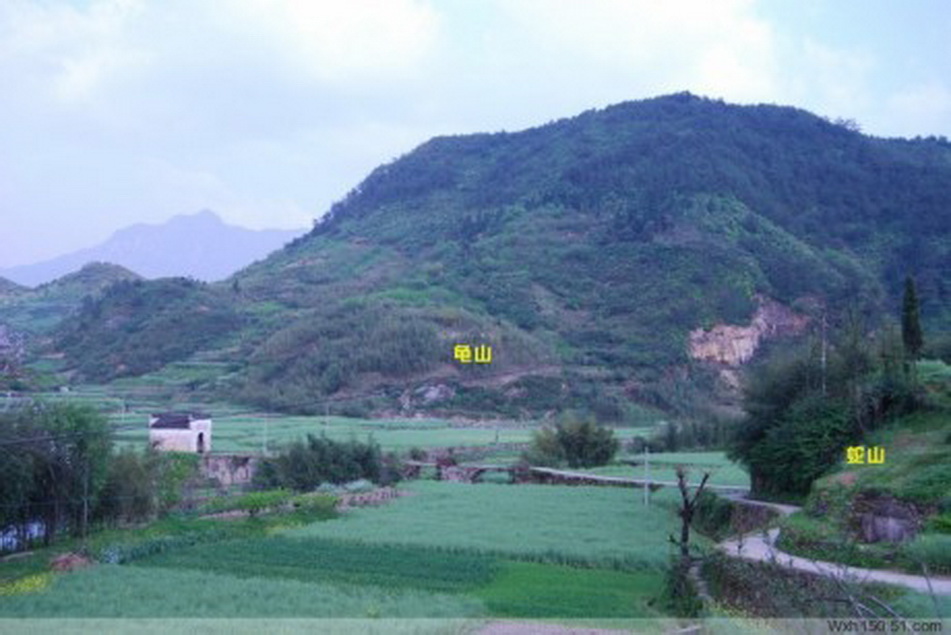 20090507042406270.jpg