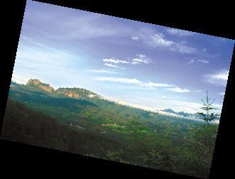 48151723740ab264925807ae.jpg