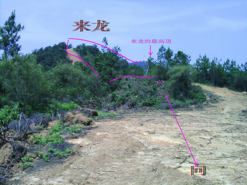 点对否